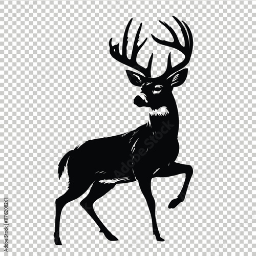 Whitetail deer vector