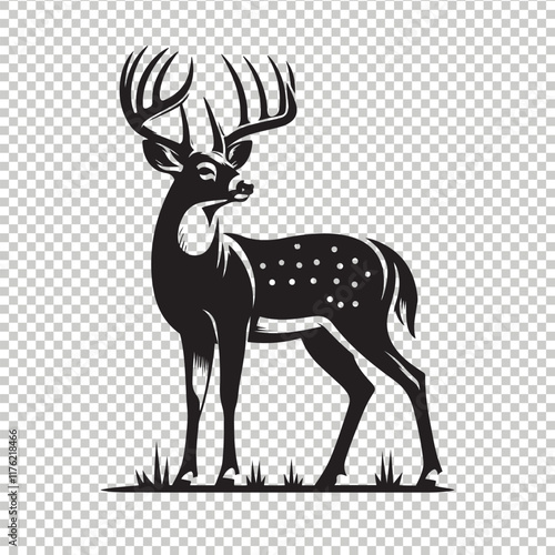 Whitetail deer vector