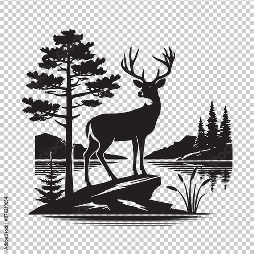 Whitetail deer vector