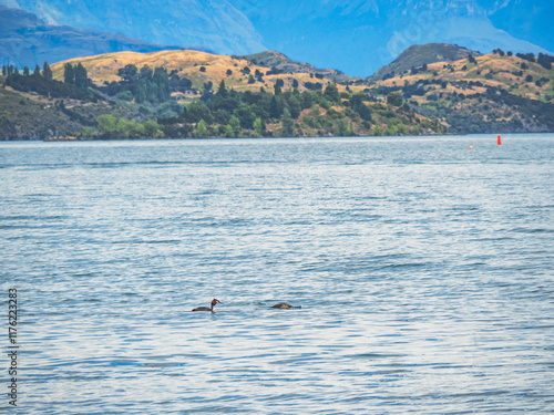 NYE Wanaka 2025 photo