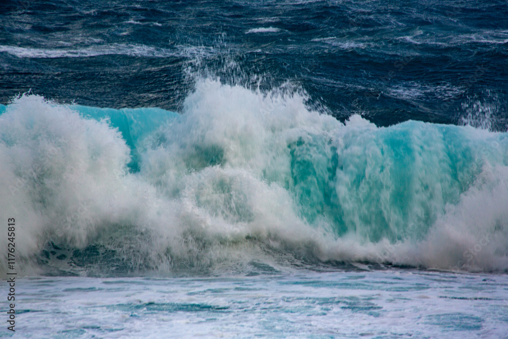 Fototapeta premium 冬の奄美大島の海