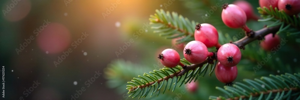 Pastel pink berries adorn Christmas tree branches, earthy feel, warm lighting Pastel pink berries adorn Christmas tree branches, earthy feel, warm lighting