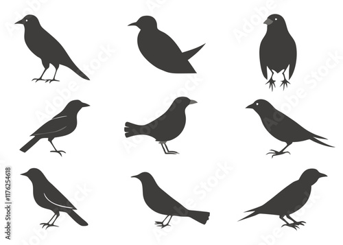 Wallpaper Mural Birds silhouette collection on white background

 Torontodigital.ca