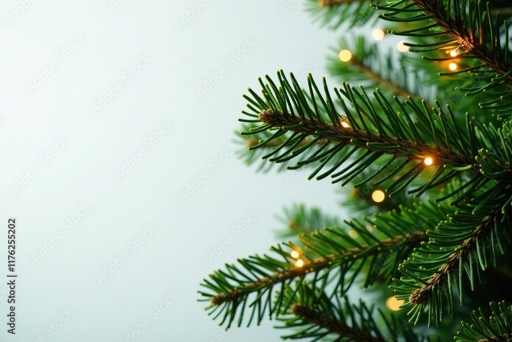 Thick Christmas tree branches adorned with intricate golden threading, wreath, branch Thick Christmas tree branches adorned with intricate golden threading, wreath, branch