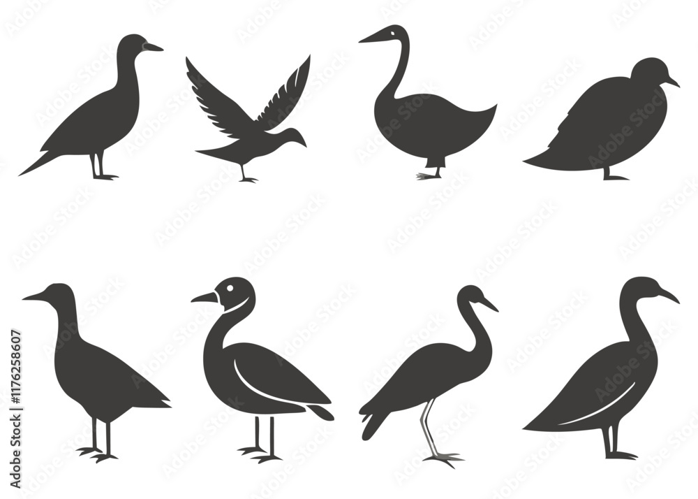 Birds silhouette collection on white background
Birds silhouette collection on white background