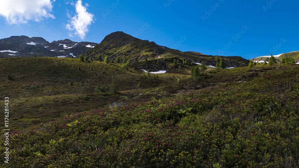 Naklejka premium Grassy Mountain