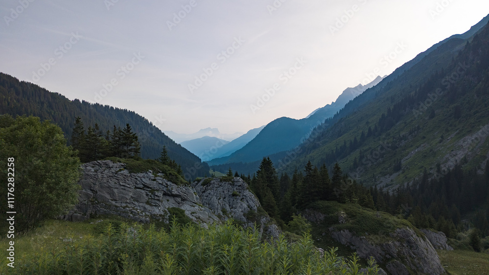 Obraz premium Mountain range with forest