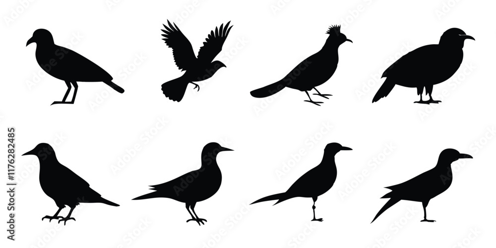 Fototapeta premium Birds silhouette collection on white background