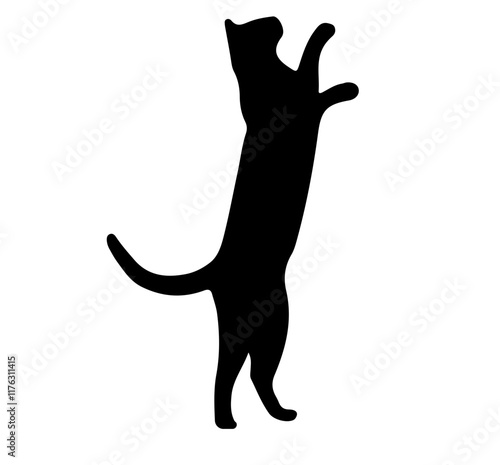 Cat Reach