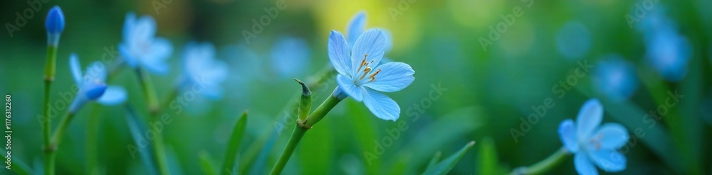 Delicate blue petals unfolding from a lush green stem, nature, spring blossoms, botanical Delicate blue petals unfolding from a lush green stem, nature, spring blossoms, botanical