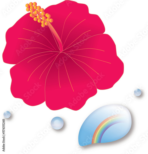 ハイビスカスと水滴に映る虹
