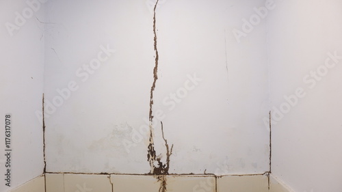 Termites build mud tubes in bathroom walls / Concept of termite problems in the home photo