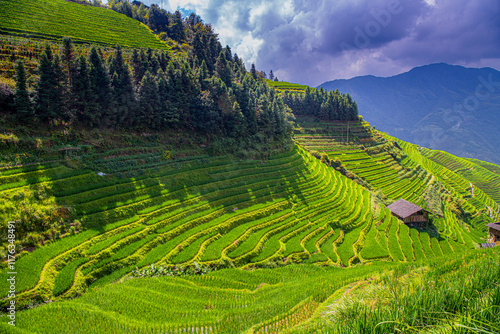 Canvas Print Yao Village Dazhai, Longsheng, near town of Guilin, Guangxi, China