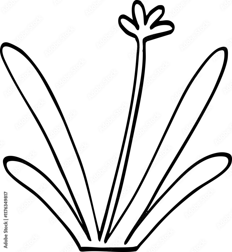 hand drawn cute cartoon plant illustration. hand drawn cute cartoon plant illustration.