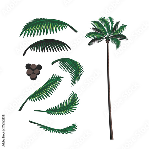 part of a coconut tree, vector coconut leaves with retro colors