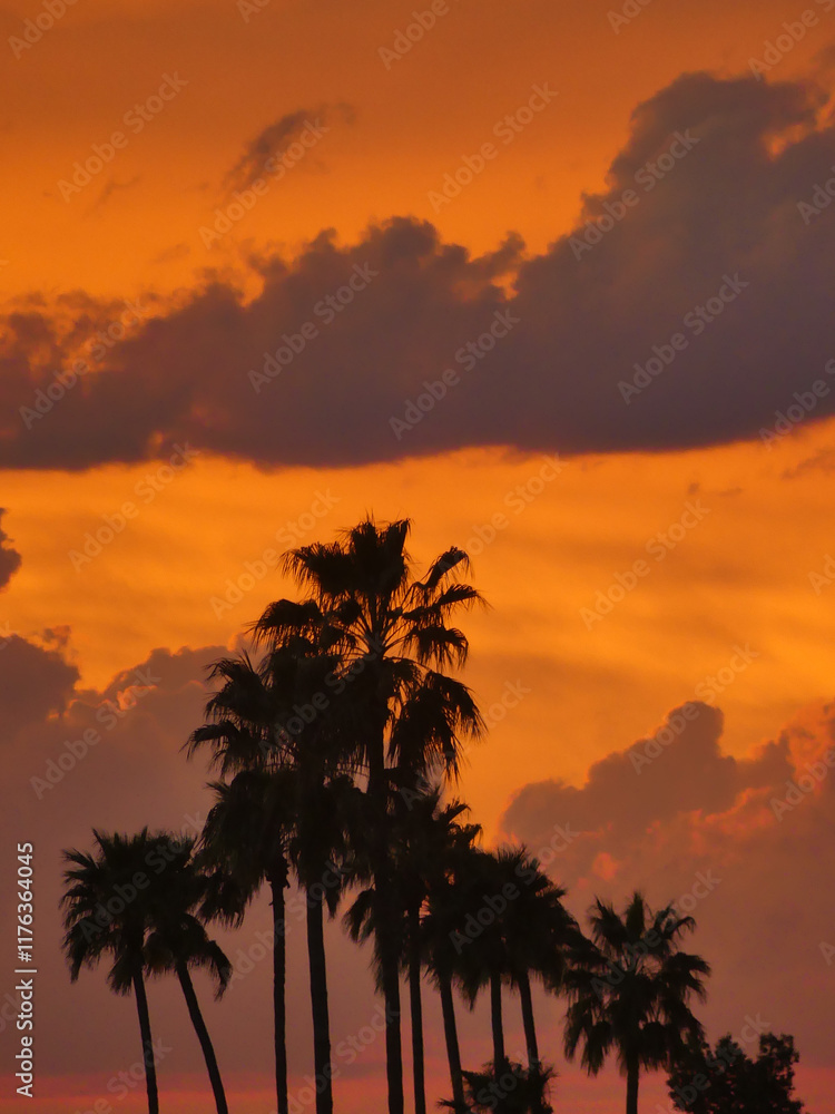 Obraz premium vibrant orange sunset silhouette of palm trees
