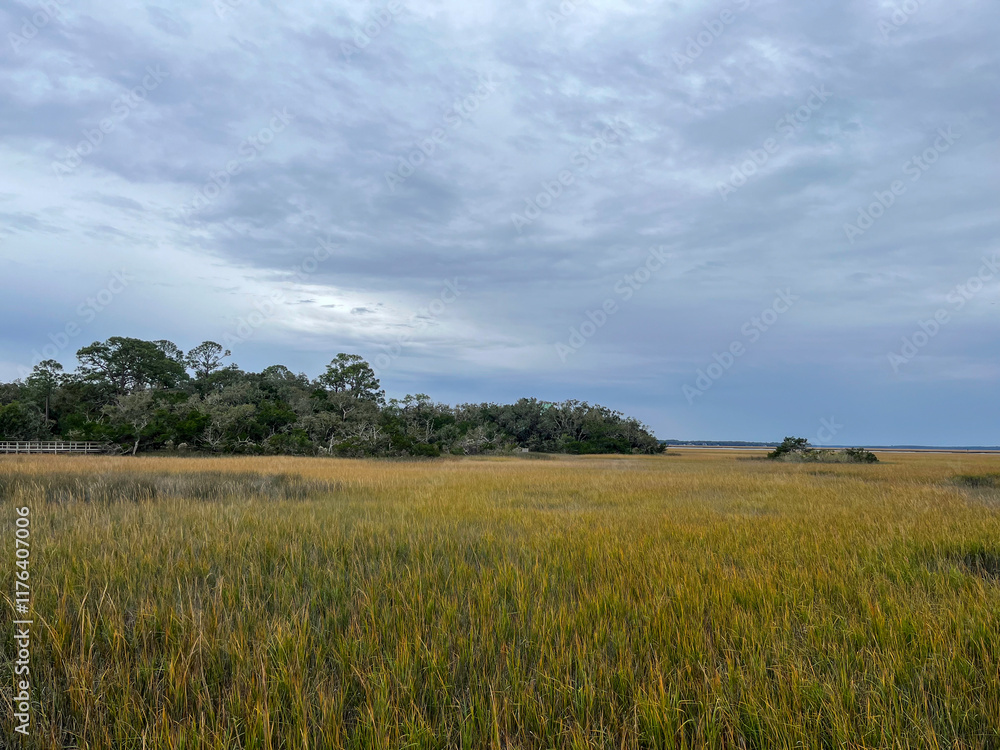 Expansive Marshland under a Cloudy Sky Expansive Marshland under a Cloudy Sky