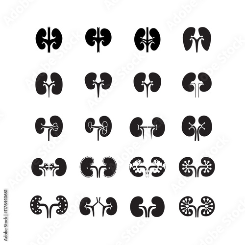 Kidney icon collection on white background