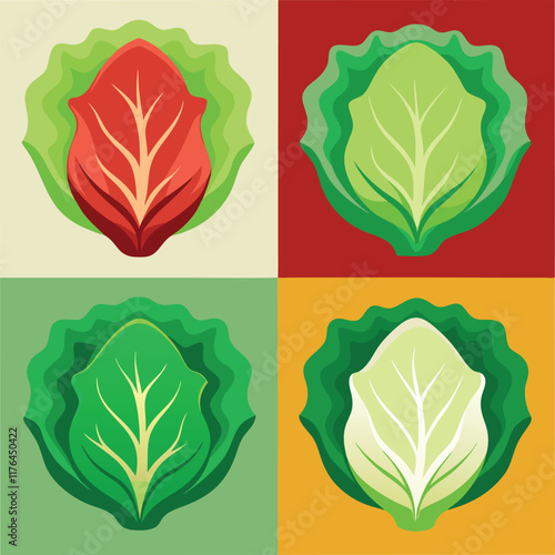 Fresh Lettuce Food set Vector Illustration - Green Vegetable Design for Healthy Eating
