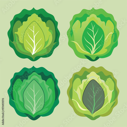 Fresh Lettuce Food set Vector Illustration - Green Vegetable Design for Healthy Eating
