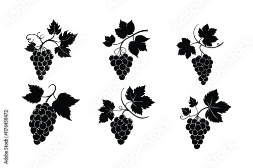 set of grapes vine silhouette, vector illustration