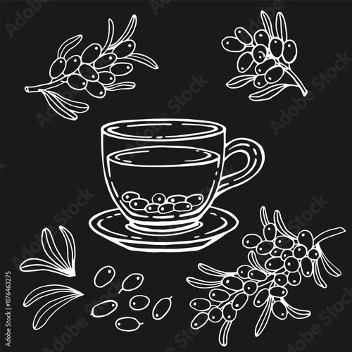 Glass cup of tea, sea buckthorn. Hand drawn vector illustration in outline style.