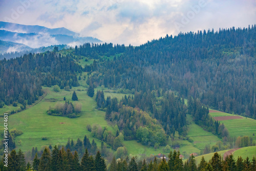 Obraz na płótnie Lush green hills under a misty sky during a tranquil morning in the mountains w salonie