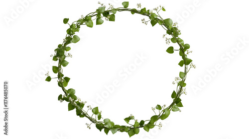 Circular frame made of green ivy and small white flowers, natural look. Isolated on transparent or white background cut out