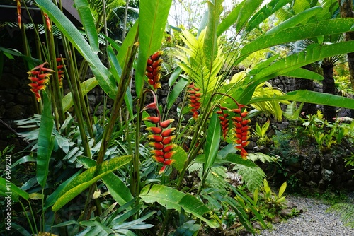 Garden Path with Lobster Claws