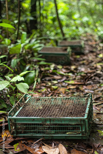 Discarded animal traps in a jungle setting, showing efforts to stop illegal hunting photo