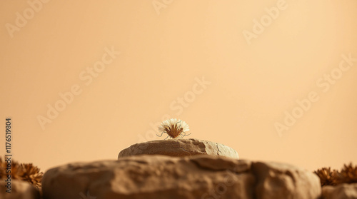 Abstract nature scene Stone podium composition and dry flower on beige brown background for cosmetic, beauty product branding, perfume, skin care and cosmetic backdrop. Copy space, front view