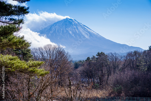 富士山 photo