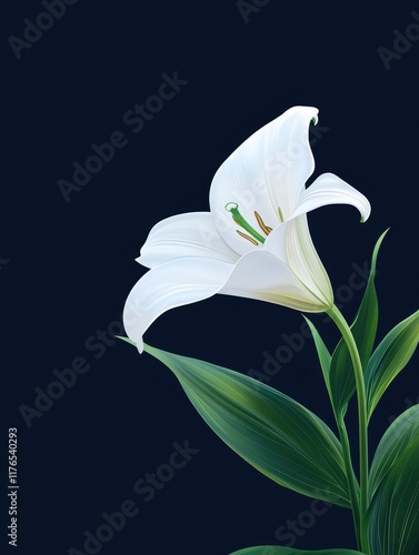 Elegant White Lily Flower on Dark Background in Artistic Style