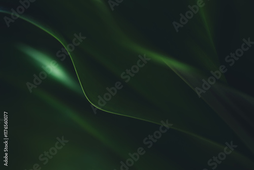 Dark green leaf texture, Natural green leaves using as nature background wallpaper or tropical leaf cover page