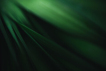 Dark green leaf texture, Natural green leaves using as nature background wallpaper or tropical leaf cover page