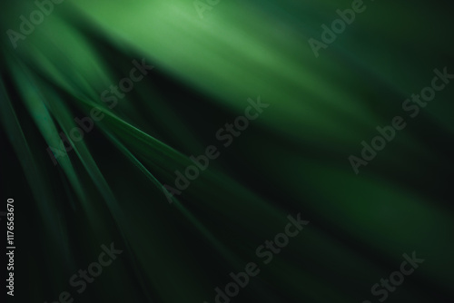 Dark green leaf texture, Natural green leaves using as nature background wallpaper or tropical leaf cover page