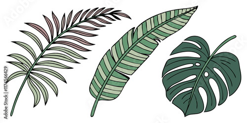 Tropical Leaf Illustrations on Transparent Background. Perfect for: Summer events, tropical-themed designs, eco-friendly branding