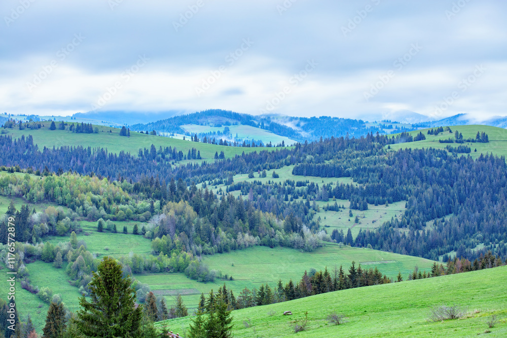 Rolling green hills embrace the tranquil beauty of a cloudy mountain landscape