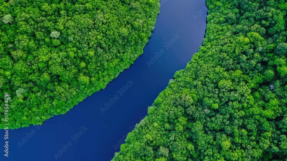 Aerial view of lush green forest split by winding river Aerial view of lush green forest split by winding river