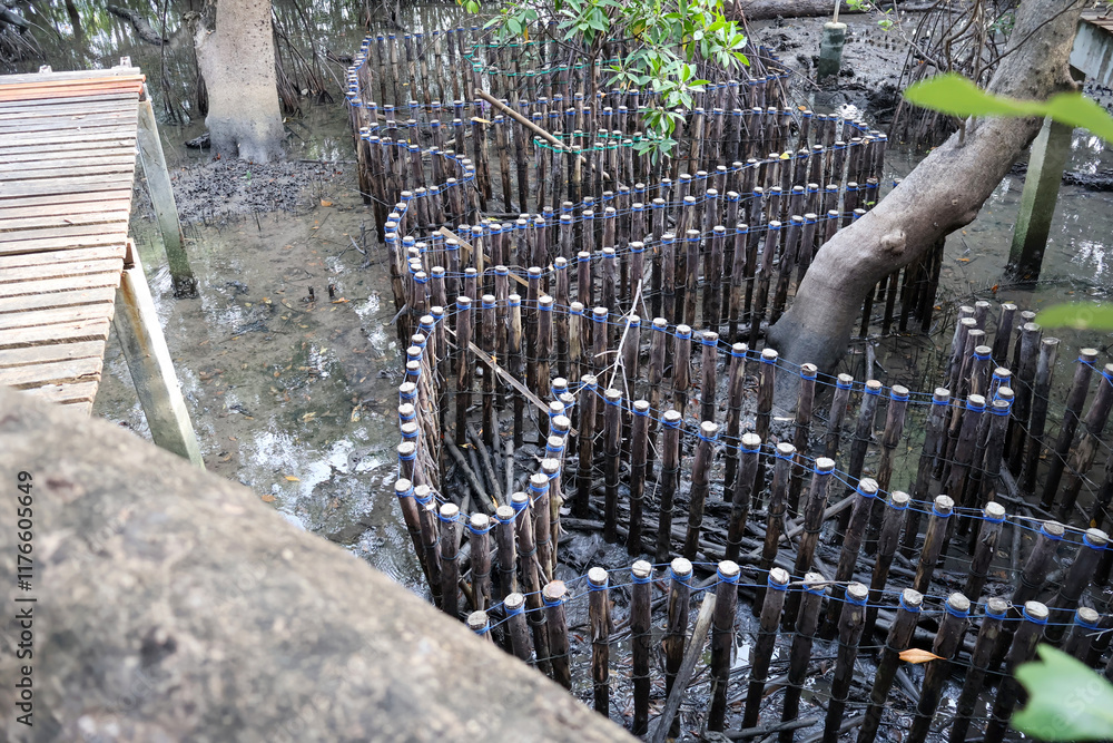 Obraz premium Construct log a habitat for crabs to reside in within the mangrove forest.