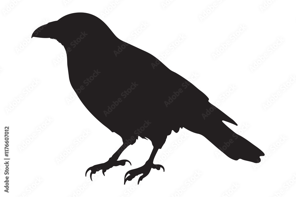 Fototapeta premium Bird silhouette vector illustration