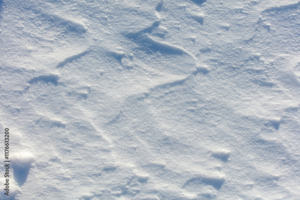 The snow is white and the ground is covered in it The snow is white and the ground is covered in it
