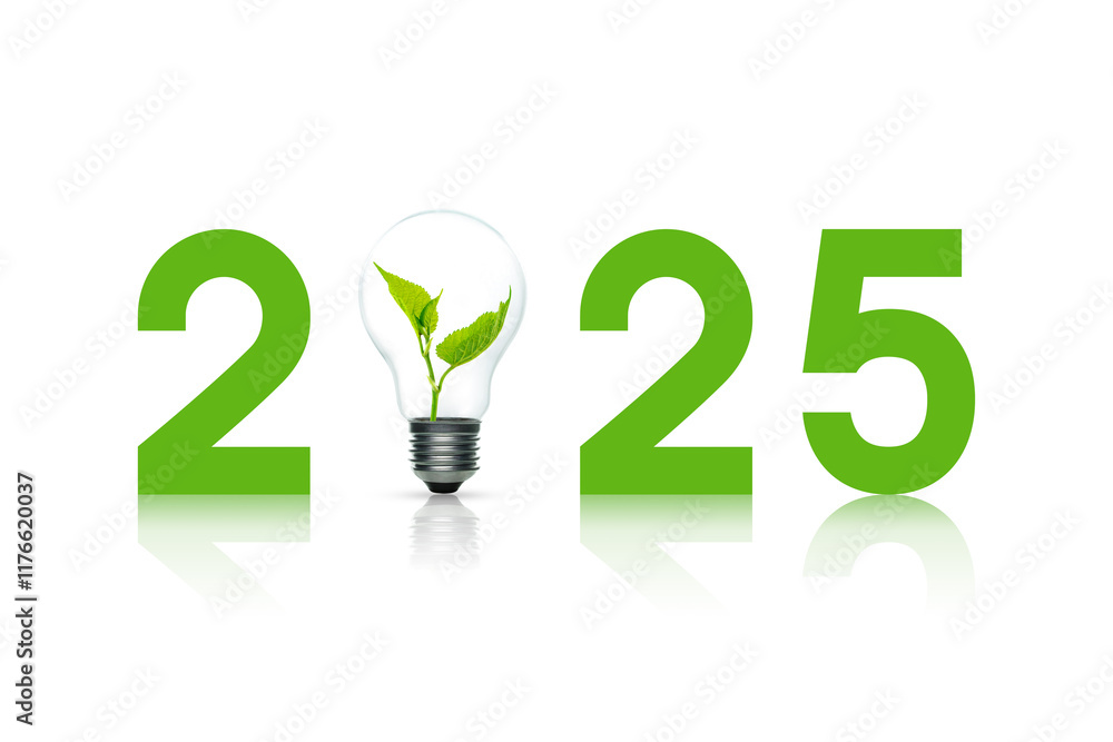 Light bulb with sprout inside and 2025, white background. Global Boiling. Green energy 2025 concept Light bulb with sprout inside and 2025, white background. Global Boiling. Green energy 2025 concept