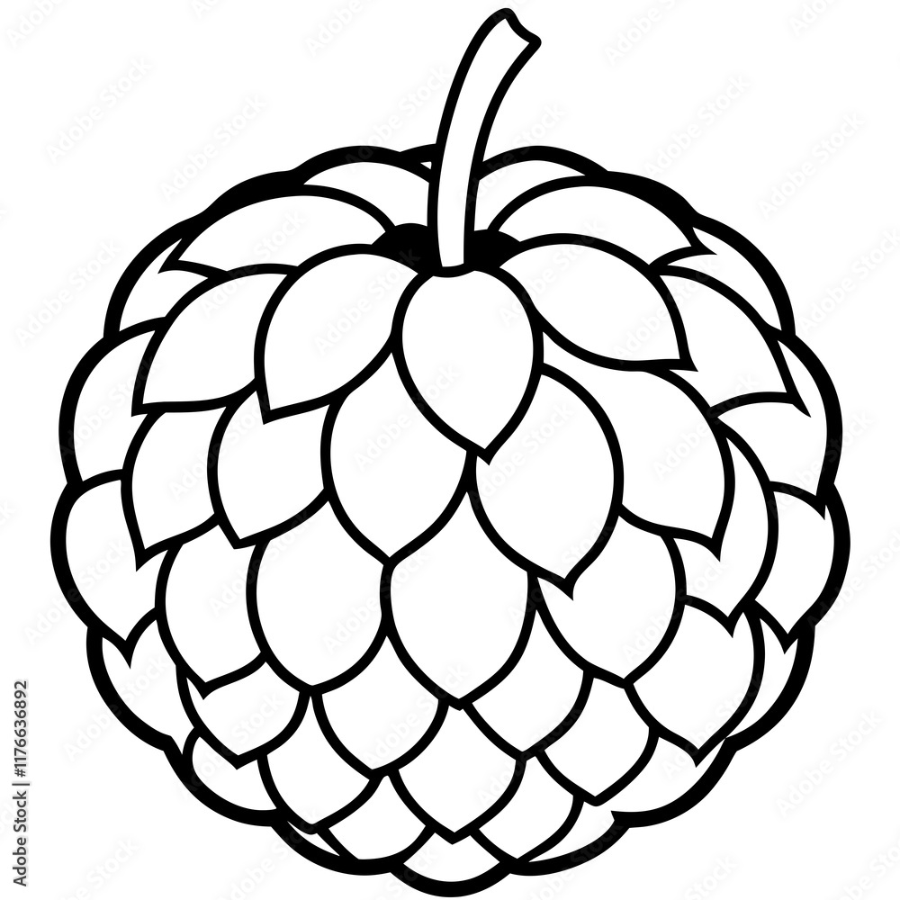 Hand-Drawn Sugar Apple Fruit Vector Hand-Drawn Sugar Apple Fruit Vector