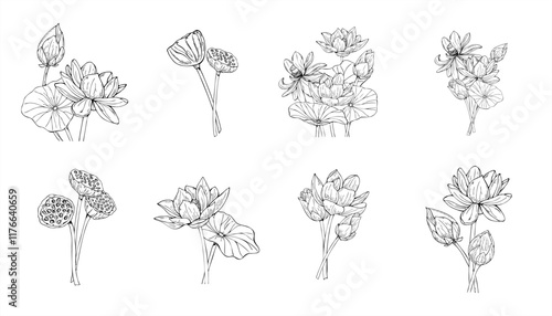 Monochrome blooming lotus flowers and seed pods set hand drawn vector illustration painted by black inks. Water lilies among leaves etching drawing. For coloring book, wedding invitation, stationery