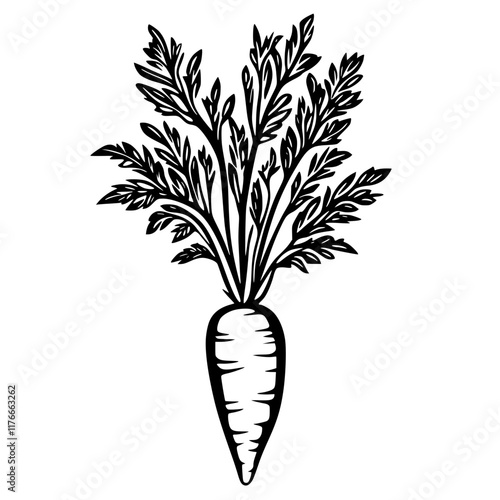 Black and White Carrot Illustration with Leaves, A black and white illustration of a carrot with detailed leaves and a tapered root, emphasizing a bold and minimal botanical design.

