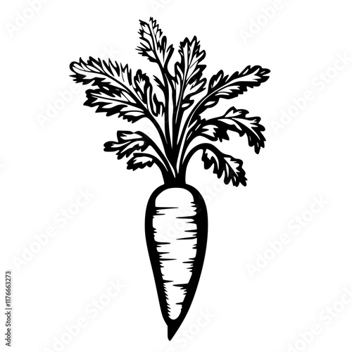 Black and White Carrot Illustration with Leaves, A black and white illustration of a carrot with detailed leaves and a tapered root, emphasizing a bold and minimal botanical design.

