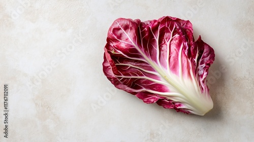 A lone radicchio leaf resting against a clean, minimalist light grey background with gentle shadows photo