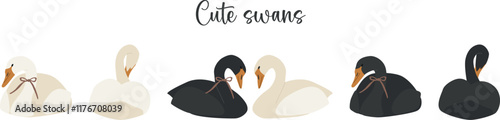 Flat swans set illustrations. Vector cliparts of wild birds. Elegance and romance birds
