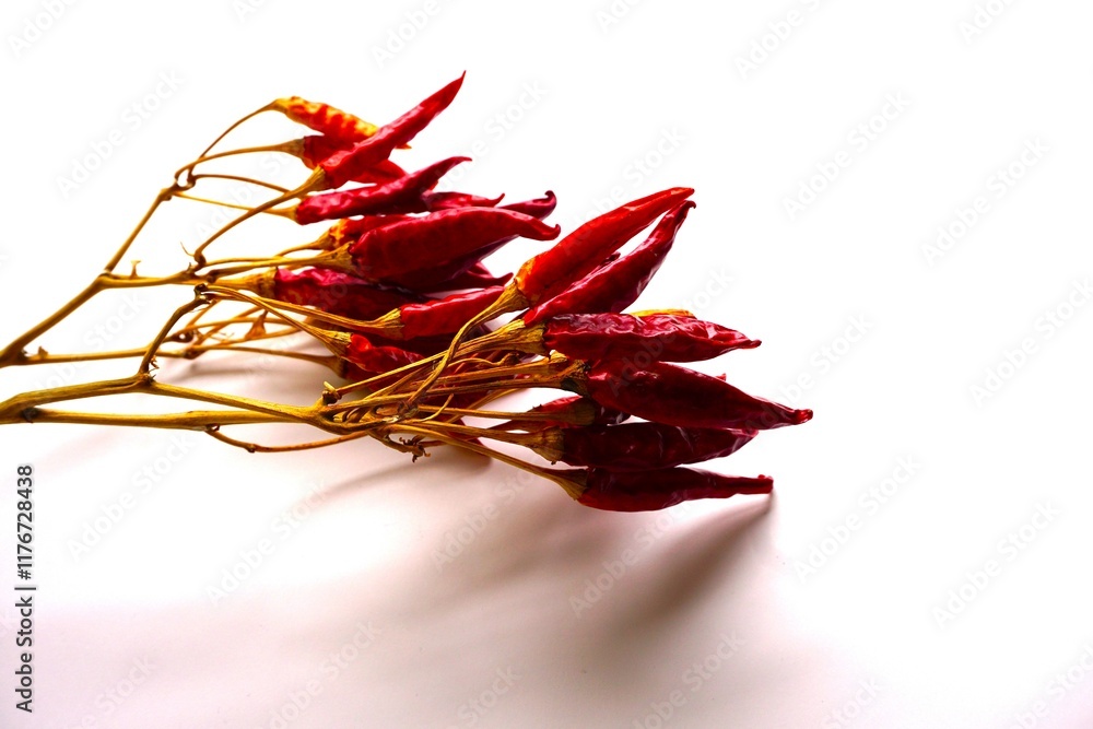 Obraz premium 枝付きの乾燥した赤唐辛子